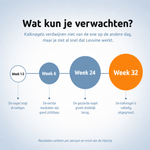 Tijdlijn van week 1 tot week 32 met wat je per fase kunt verwachten